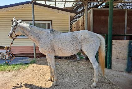 �ٿ�����̵� ����