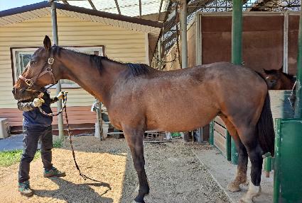 ��Ÿ������ ����