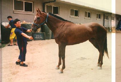 ���϶� ����