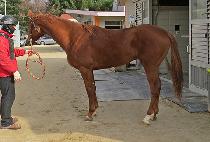 �ູ�ѹ��� (HAENGBOKAN BEOMI) ����