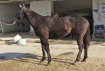 Ŭ������� (CLASS HEEMANG) ����