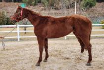 ��õ�̳� (SUNCHEON MINYEO) ����