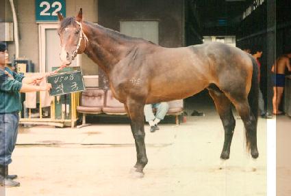 ���� ����