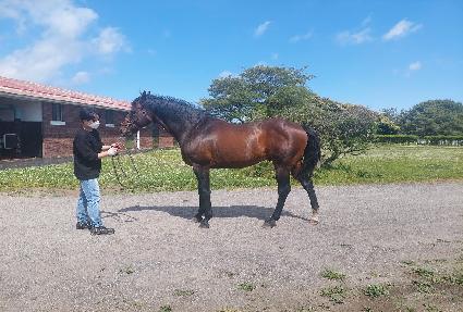 �����ֳζ����� ����