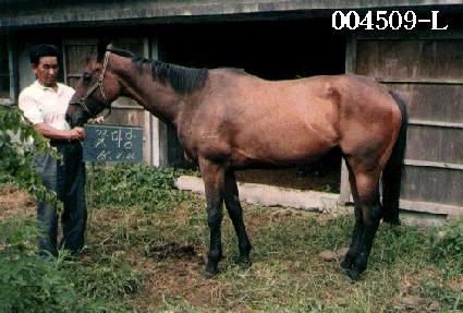 �ɸ��� ����