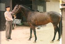 ���༱ (JOO HAENG SUN) ����