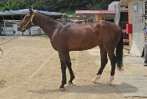 ���з�Ű (MUNHAK LUCKY) ����