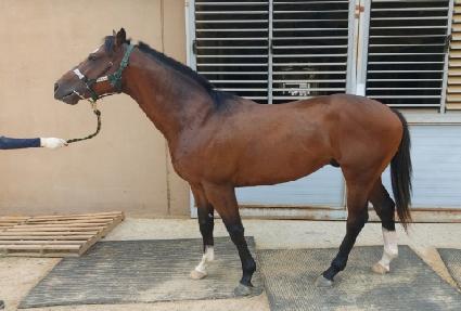 ĸƾ�ڸ��� ����