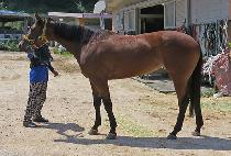 �ؿ�� (HAEUNDAE) ����