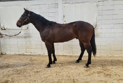 �������� ����