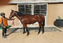 �ϴ����� (HANEUL JEWANG) ����