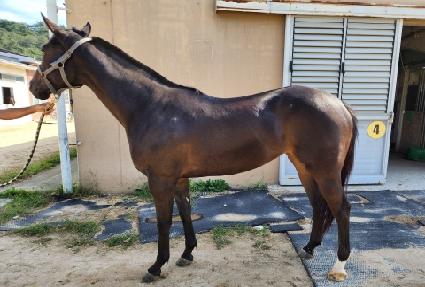 �������� ����