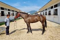 �������� (VISION WORLD) ����