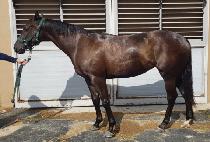 ���ָ��� (UNJU MACH) ����