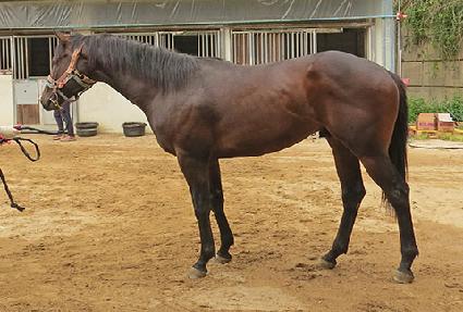 ��� ����