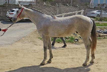 �žž� ����