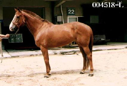 ���θ� ����