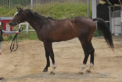 ����� ����