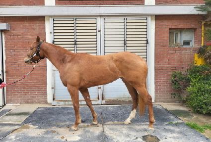 ����Ǿ�ħ ����