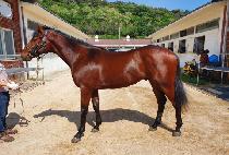 �������йи� (YEONGGWANGUIFAMILY) ����