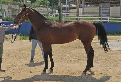 �ö��׶���Ʈ ����