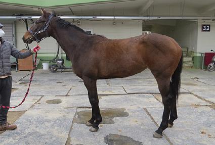 ���̾���� ����