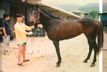 õ�ֺ� (CHEONJOO BONG) ����