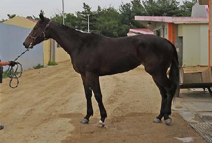 ������ ����