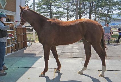 �����Ÿ ����