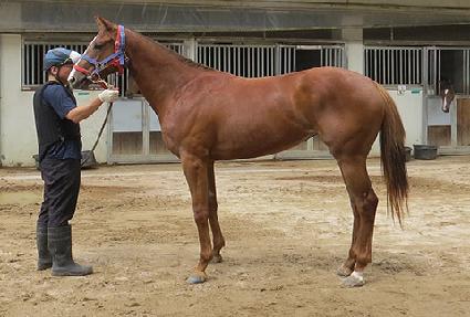 ��½�Ƽ�� ����