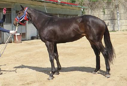 ��½�����ũ ����