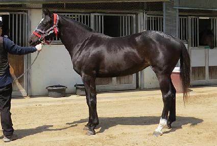 ��´�����Ƽ ����