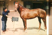 ���� (MOON MAK) ����