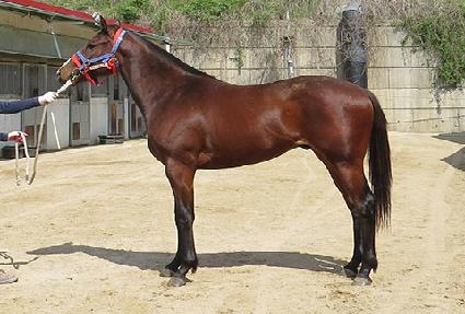 ��´��ں�� ����