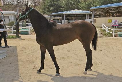 ��������ũ ����