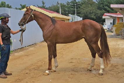 ���ι��� ����