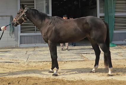 �����̴�� ����