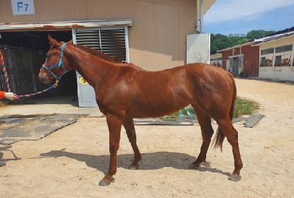 ������ ����