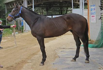 ��Ʈ���� ����