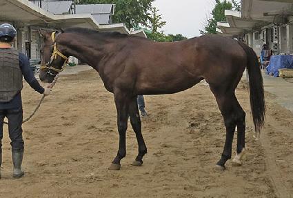 ����ΰ��� ����