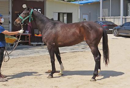 ����Ǯ���� ����