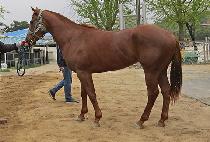 ���̺�ũ�� (NAVY CHROME) ����