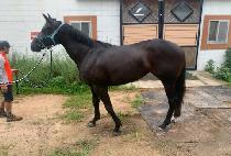 ������Ŭ���� (LOVELY CLASSIC) ����