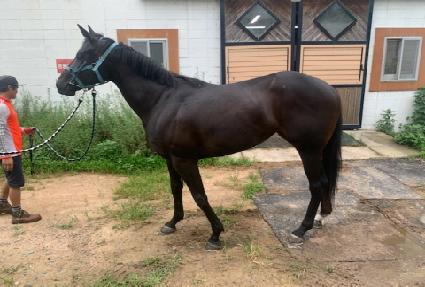 ������Ŭ���� ����