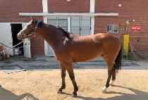 �����÷��� (MY PLEASURE) ����