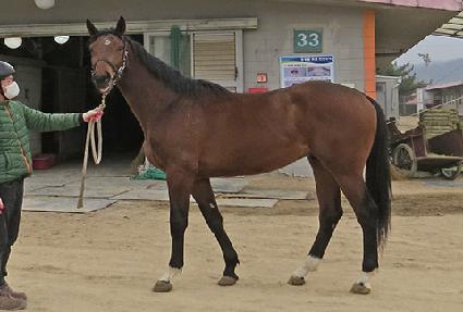 ��������� ����