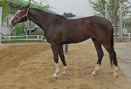 �򽺸�Ʈ ����