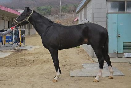 ����Ǯī�� ����