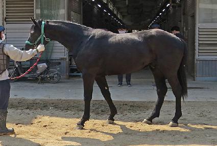 �������� ����