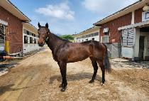 ���Ǵ�Ʈ (CONFIDENT) ����